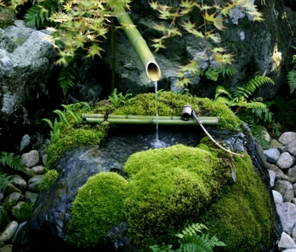 Восточные стили сада: Японский сад