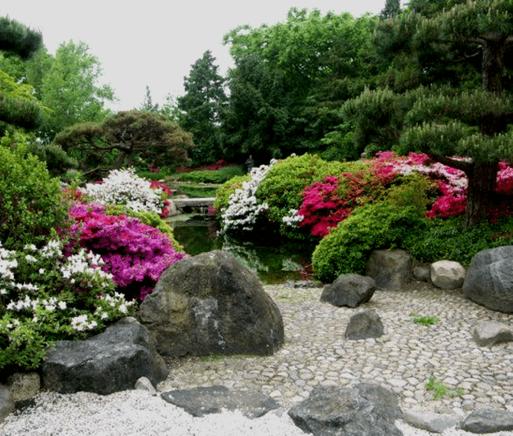Восточные стили сада: Японский сад