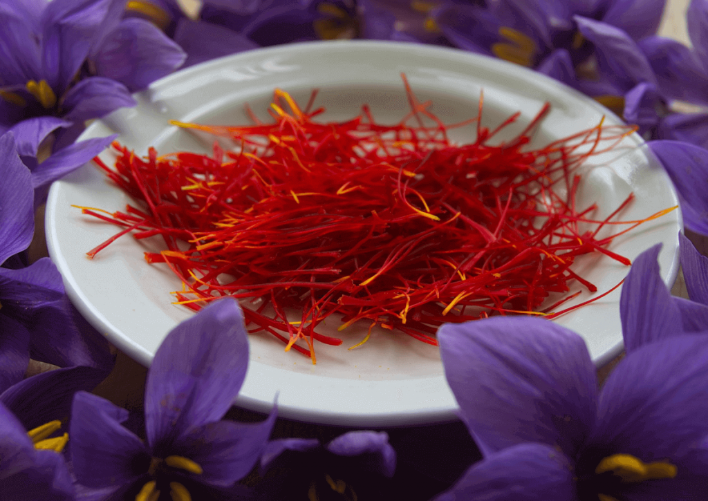 Шафран (осенний крокус Crocus sativus)