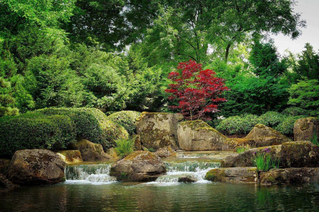 Восточные сады: отличия Китайского и Японского стиля