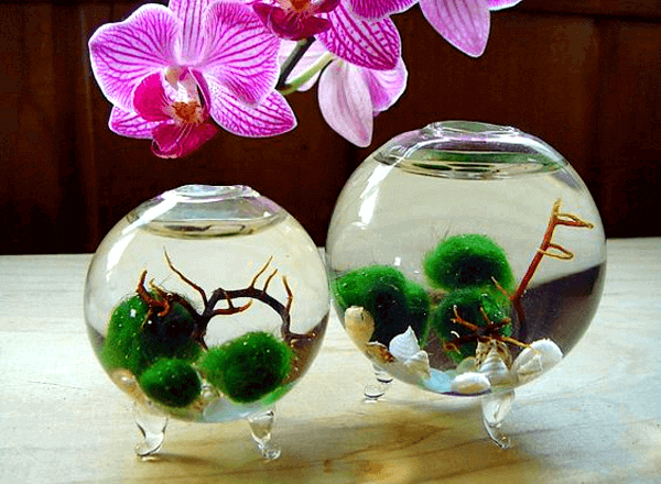 Миниатюрный аквариум как элемент декора