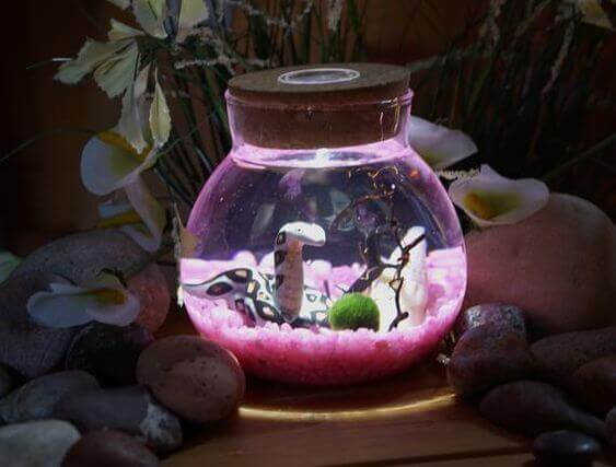 Мини-аквариумы с декором светящимся в темноте