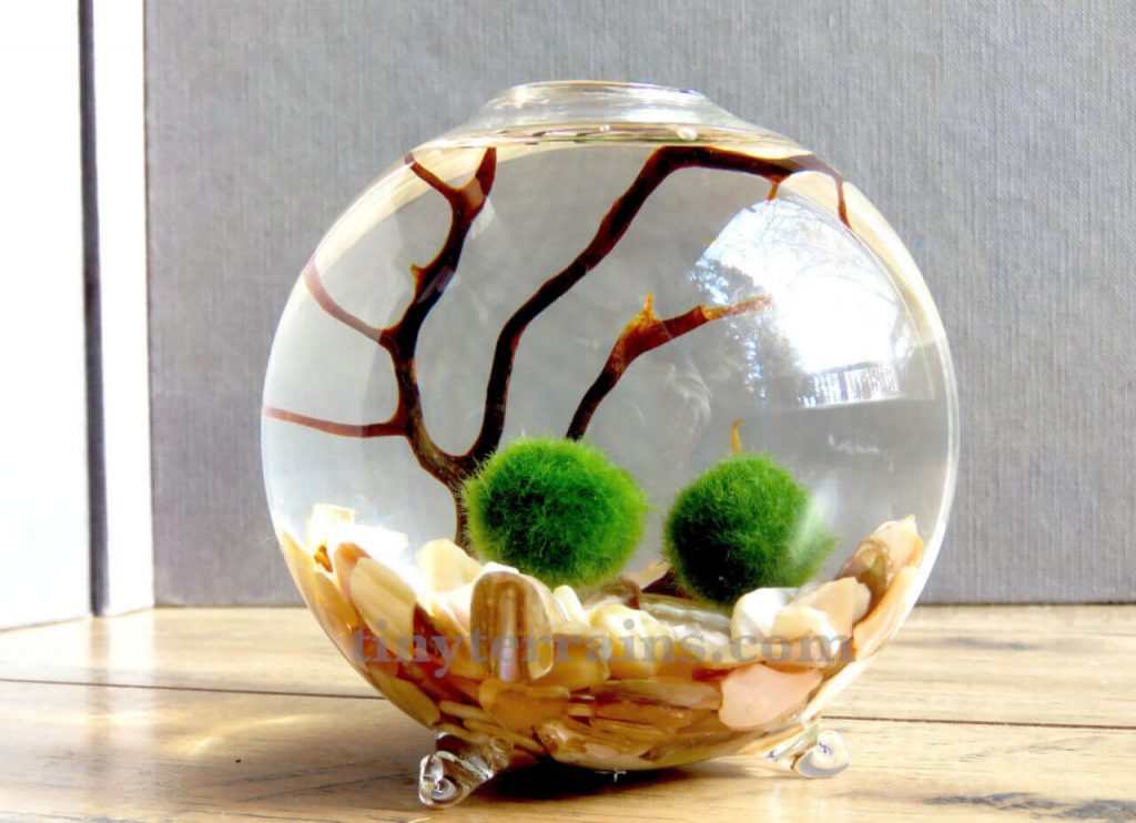 Миниатюрный аквариум как элемент декора