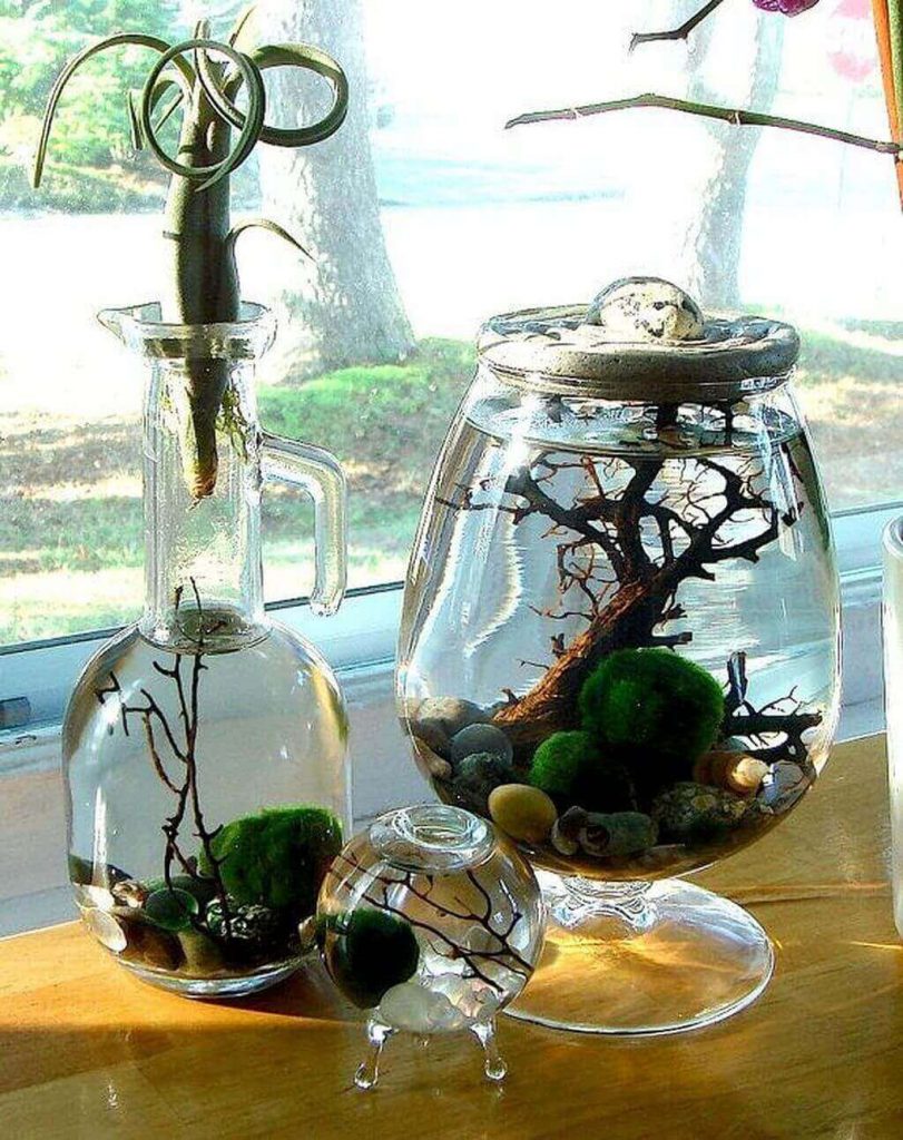 Мини-аквариумы в стеклянной кухонной посуде